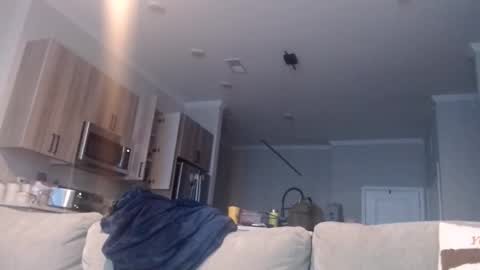 Snapshot of chefdev chatting on November 19, 3:45 pm Chef Dev XXX online show from November 19, 3:45 pm