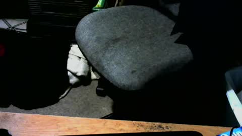 chefy online show from January 13, 10:47 am