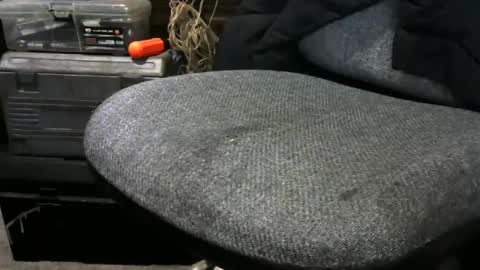 chefy online show from February 20, 11:20 am