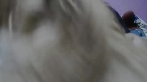 Cheila online show from November 17, 2:23 pm