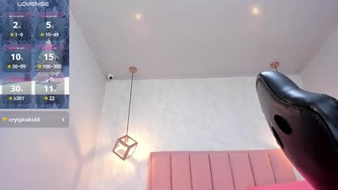 Snapshot of chelsyquinn chatting on January 21, 7:04 am Camila online show from January 21, 7:04 am