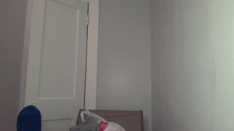 Snapshot of chocolatedolla chatting on March 4, 2:27 am chocolatedolla online show from March 4, 2:27 am