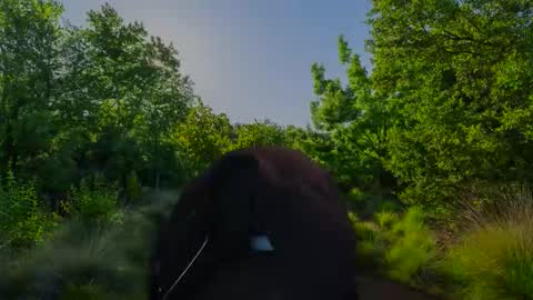 Christian online show from November 10, 7:51 am