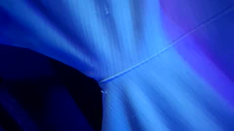 chronicvibez online show from March 1, 12:56 am