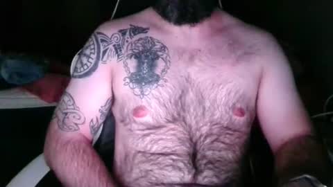 chub bear 99 online show from May 16, 2:19 am