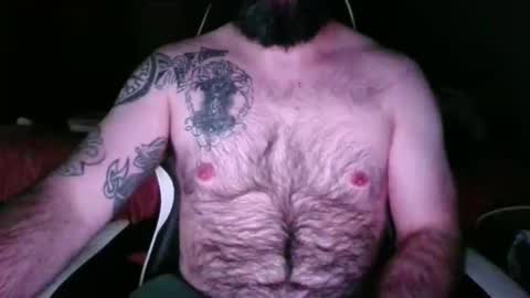 chub bear 99 online show from May 17, 2:53 am