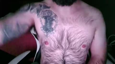 chub bear 99 online show from May 23, 10:52 am