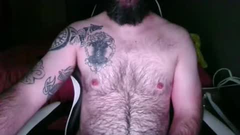 chub bear 99 online show from May 26, 10:44 am