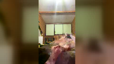 chzljqzbysno online show from January 14, 12:22 pm