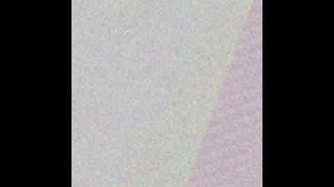 ciaswonderland online show from February 18, 6:31 am
