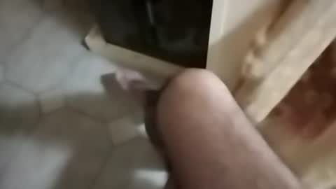 ciccilli online show from September 30, 10:15 pm