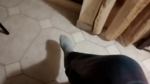 ciccilli online show from October 16, 9:49 pm