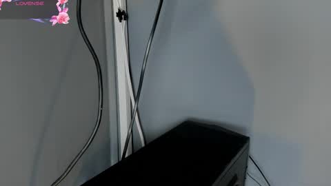 Cintia online show from November 4, 12:04 pm