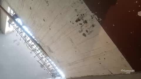 Circumsised Bull online show from January 13, 11:26 am