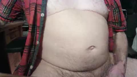 Circus Bear online show from October 22, 5:30 am