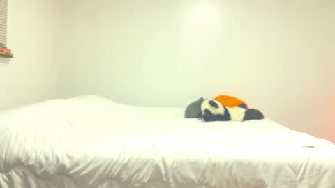 citoz online show from December 2, 5:59 am