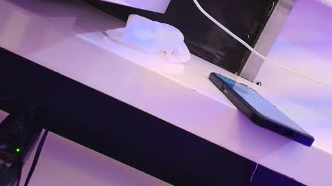 Snapshot of cleeoadams_ chatting on January 24, 7:51 am Cleo Adams online show from January 24, 7:51 am