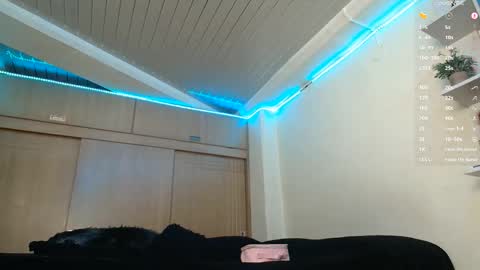 clermontt online show from February 14, 10:45 am