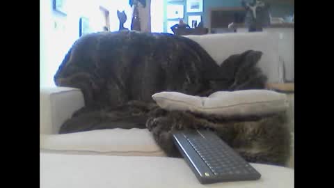 clitboy658752 online show from January 14, 9:42 pm