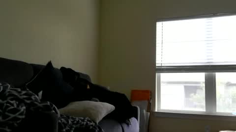 instayour big commander online show from December 24, 9:22 pm