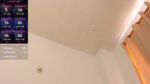 CLOE online show from November 6, 2:51 pm