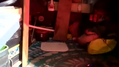 Snapshot of clubberlang10 chatting on January 23, 9:39 am HeyTurkeyBoy online show from January 23, 9:39 am