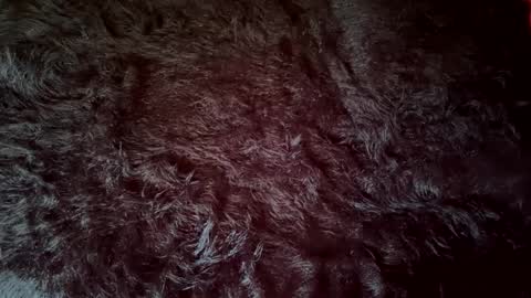 clydeninethousand online show from September 20, 4:52 pm