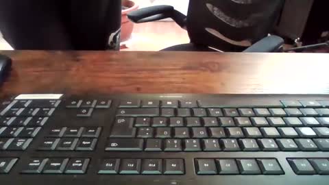 cock4onenight online show from March 12, 10:26 am