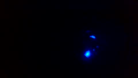 cocksmithog online show from December 13, 5:43 pm