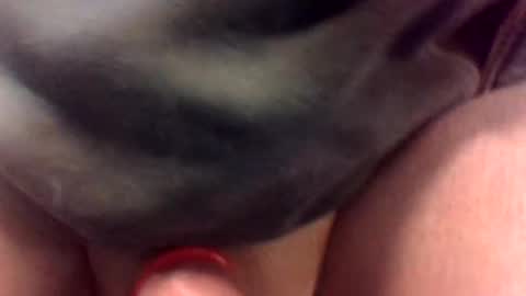 cocksmithog online show from January 19, 11:43 pm