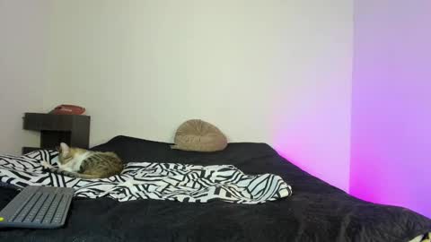 cody online show from November 16, 1:49 pm