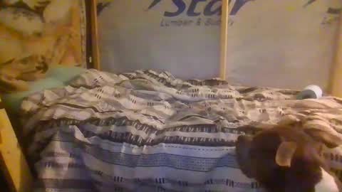 lickerpro69 online show from February 13, 10:33 am