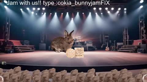 Cokia online show from December 5, 4:09 am