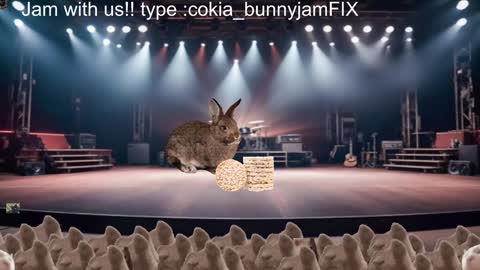 Cokia online show from December 17, 2:44 am