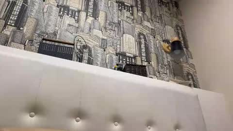 colambus83 online show from April 23, 8:22 pm