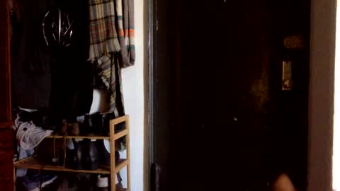 cloudy college boi exhib online show from March 10, 6:45 pm