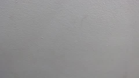 Snapshot of colombia_mommy_ chatting on January 16, 12:31 pm  GRETCHEN  online show from January 16, 12:31 pm