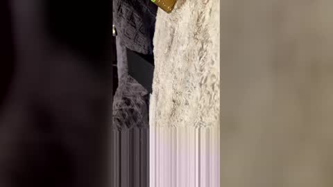 comeongirlts online show from April 27, 4:21 am