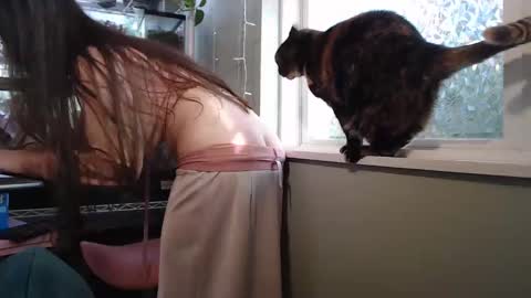 ANR Mommy online show from September 26, 8:24 pm