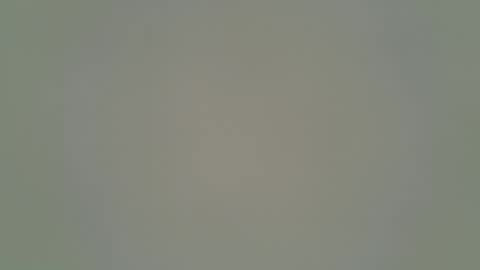 ANR Mommy online show from February 1, 5:11 pm