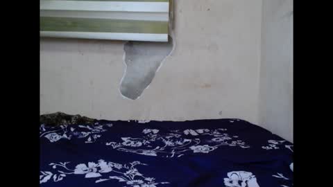 cornxslut online show from September 15, 7:03 pm