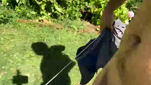 Snapshot of countrymilk chatting on January 6, 2:25 pm Countrydilf online show from January 6, 2:25 pm