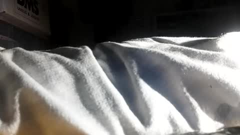 crave_me_ online show from November 30, 6:28 am