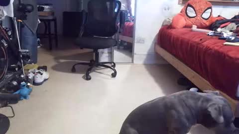 Snapshot of crazy4feetmanic chatting on April 16, 11:07 pm drbucknaked online show from April 16, 11:07 pm