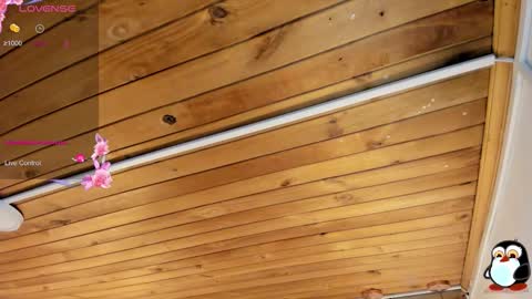 Cristal online show from February 10, 4:05 am