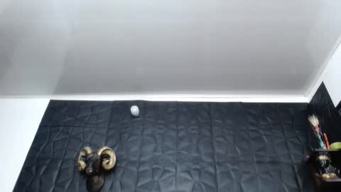 Snapshot of cristal_smith06 chatting on February 26, 10:25 am Hanna online show from February 26, 10:25 am