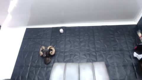 Snapshot of cristal_smith06 chatting on March 15, 2:01 pm Hanna online show from March 15, 2:01 pm