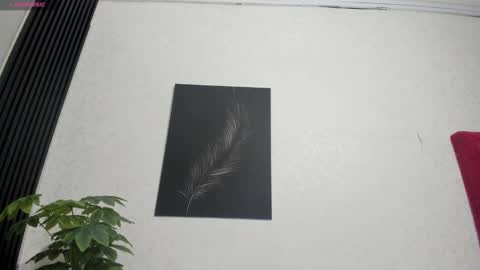 Snapshot of cristopher23_ chatting on February 2, 7:57 pm cristopher23 online show from February 2, 7:57 pm