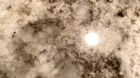 Snapshot of crushit chatting on February 6, 7:13 am Crushit online show from February 6, 7:13 am