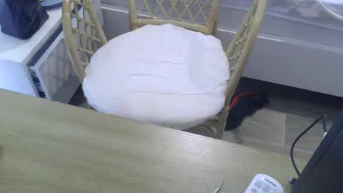 cumtowa online show from October 7, 5:04 am